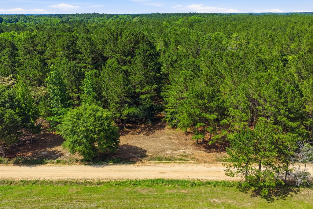 Lot #4 Crosby Clark Road Opp, AL 36467 - Photo 2 of 9