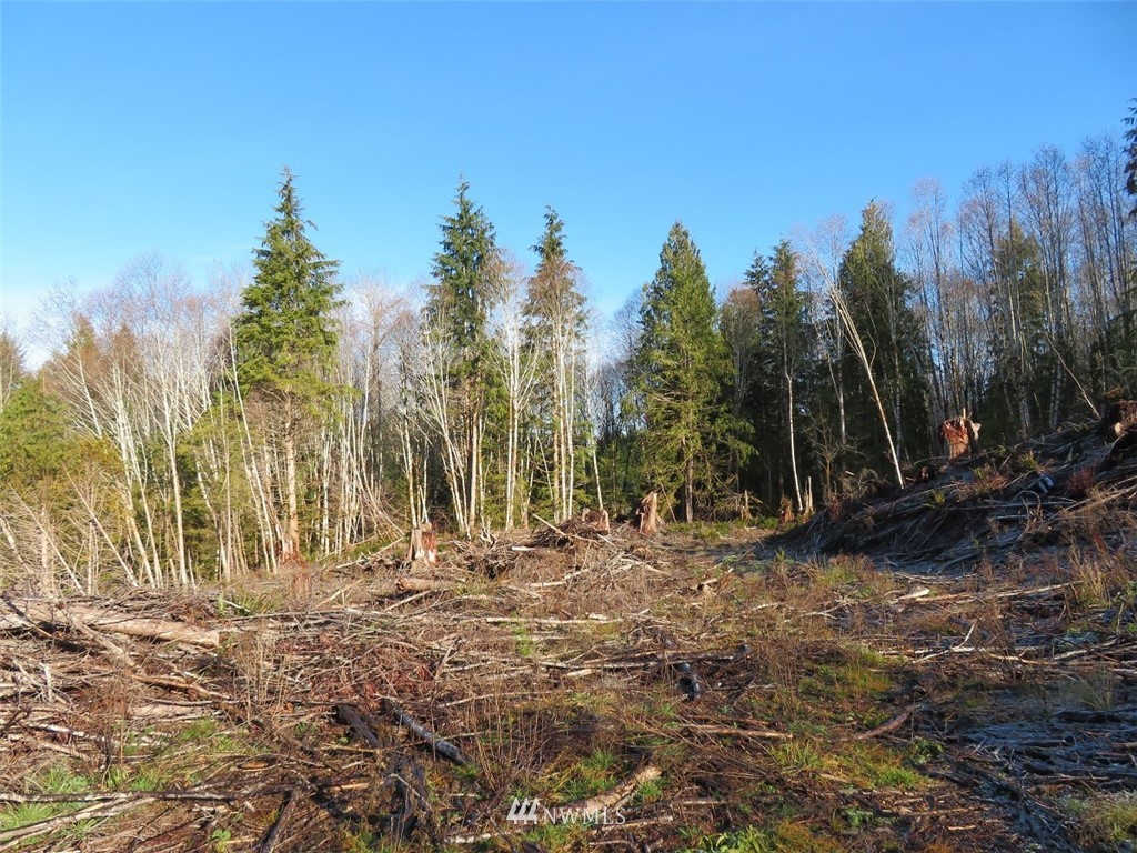 2 West Bulb Farm Road Shelton, WA 98584 - Photo 17 of 25 Gallery Image 17