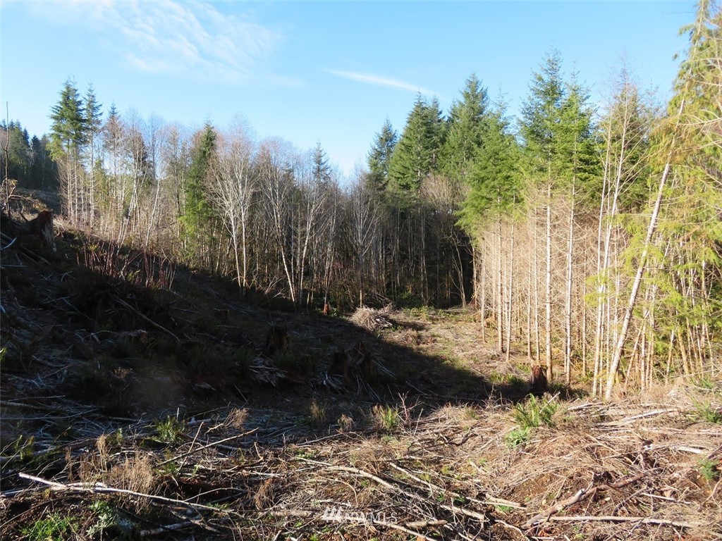 2 West Bulb Farm Road Shelton, WA 98584 - Photo 21 of 25 Gallery Image 21