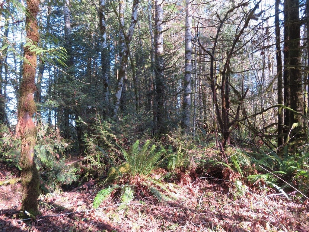 2 West Bulb Farm Road Shelton, WA 98584 - Photo 8 of 25 Gallery Image 8