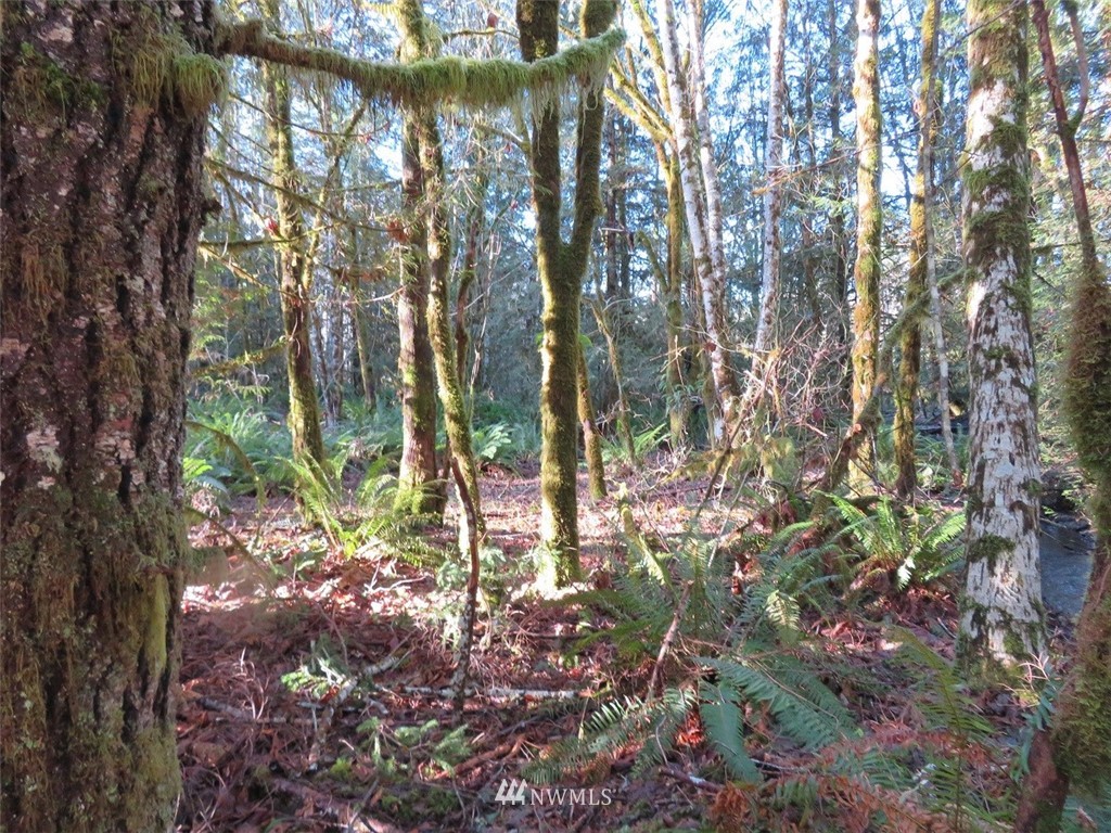 2 West Bulb Farm Road Shelton, WA 98584 - Photo 9 of 25 Gallery Image 9
