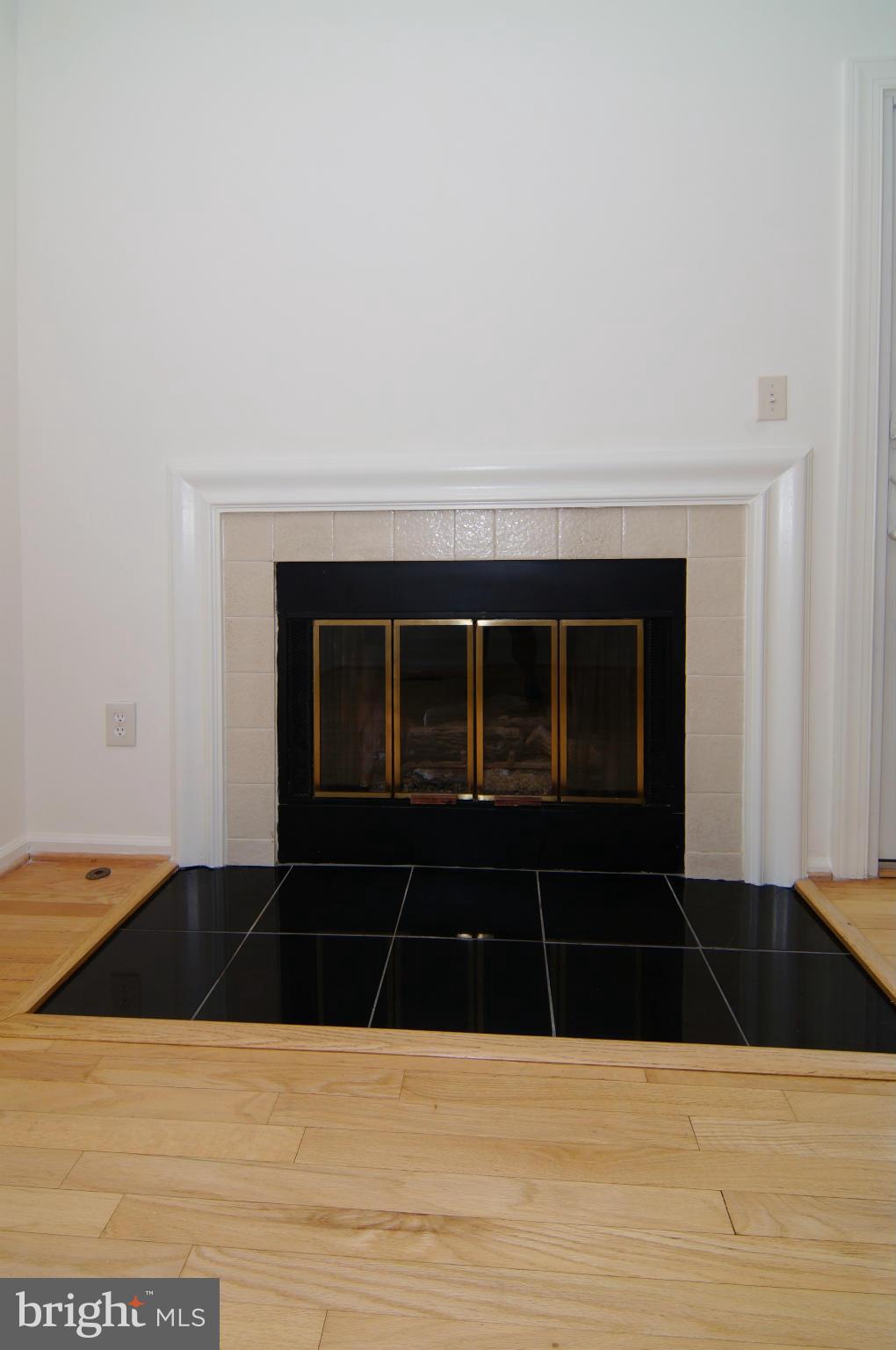 6581 Cypress Point Road Alexandria, VA 22312 - Photo 7 of 29 Family Room Fireplace