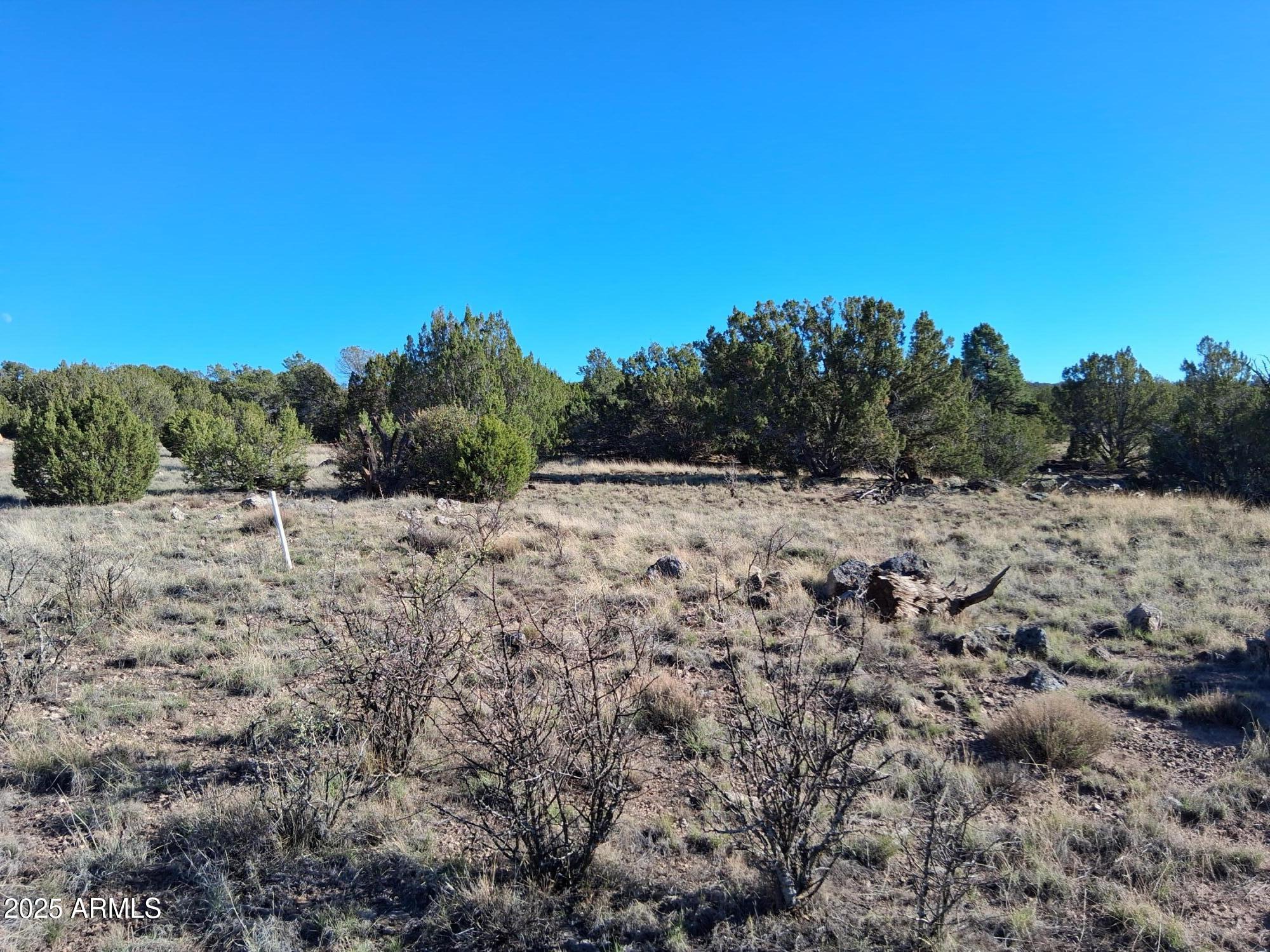 28 County Road Concho, AZ 85924 - Photo 24 of 29