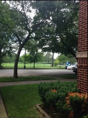 a view of green field