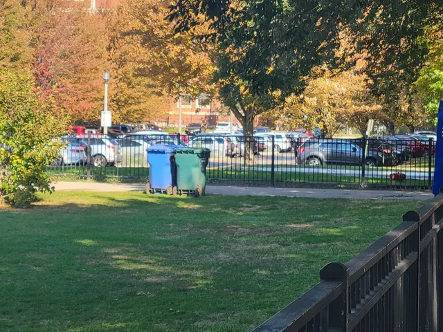 a view of a park with large trees
