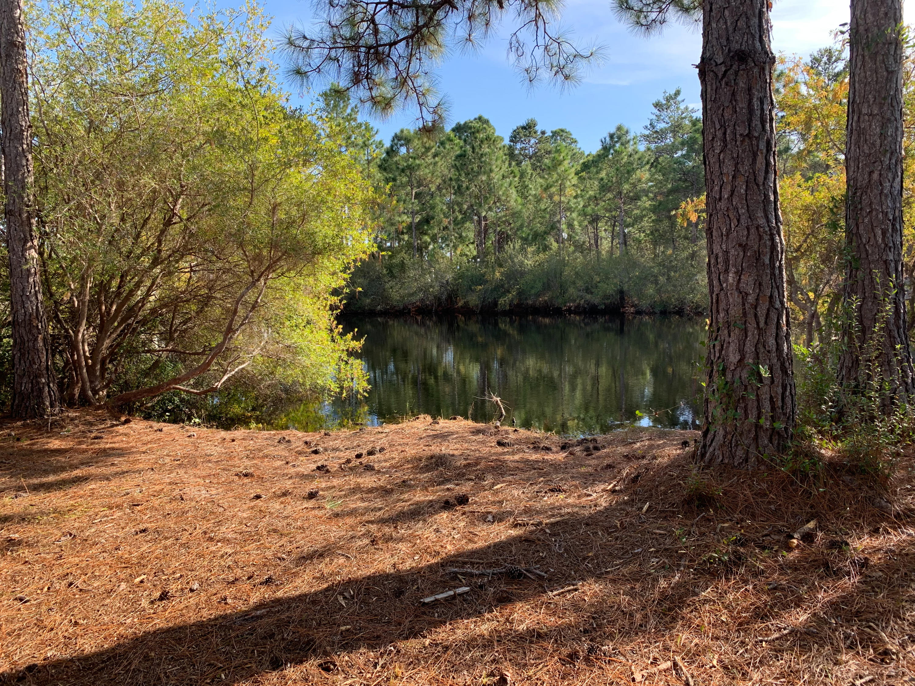 421 Ridge Road Santa Rosa Beach, FL 32459 - Photo 3 of 29 a view of a lake next to a building