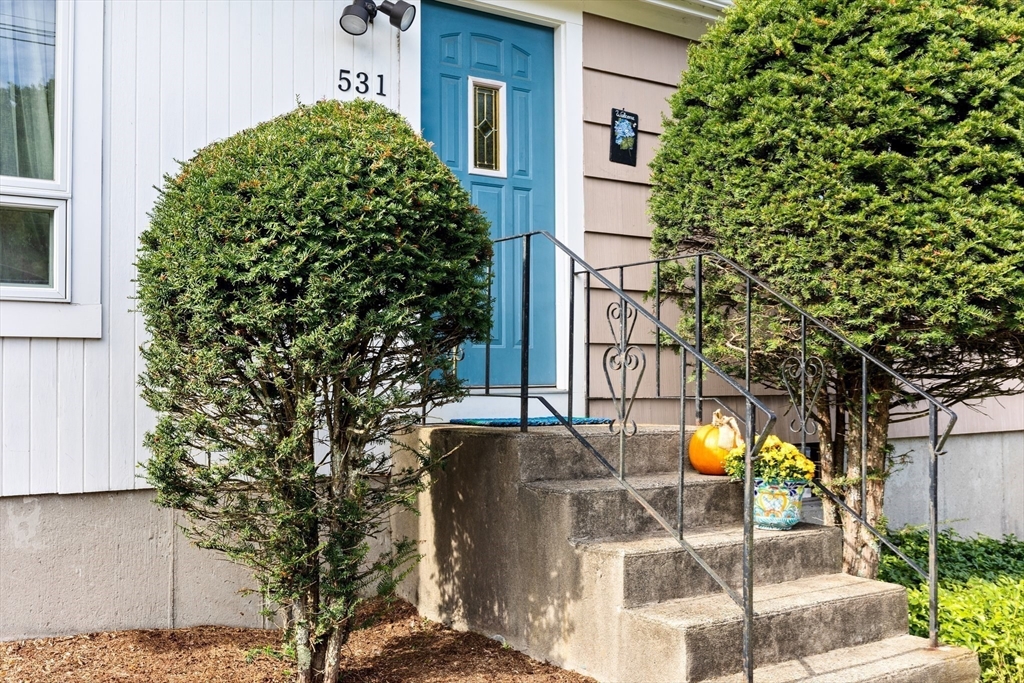 531 Bay Road Sharon, MA 02067 - Photo 5 of 33 Gallery Image 5