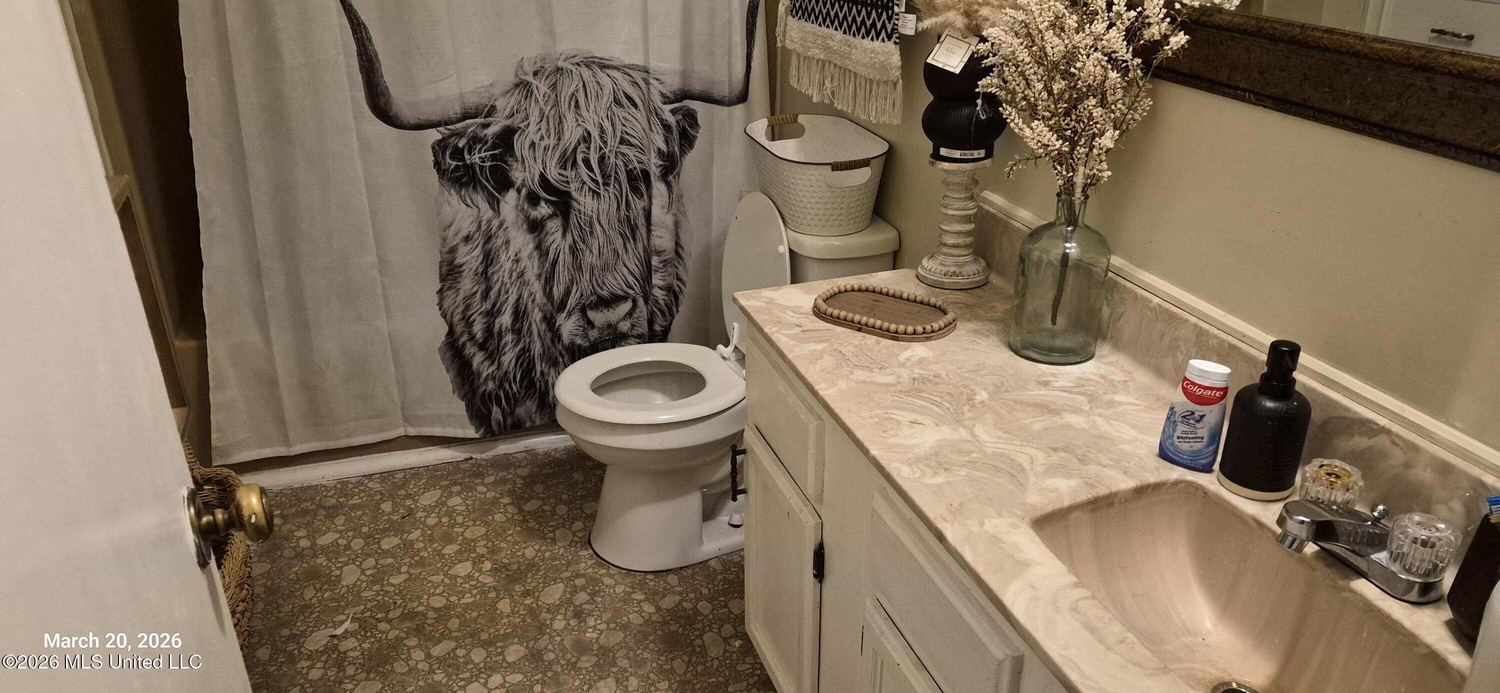 142 Plum Tree Road Brandon, MS 39047 - Photo 6 of 7 142 Plum Tree (18)