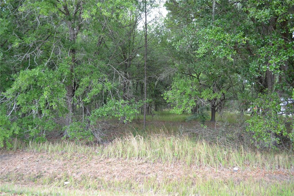Bostick Road Bowling Green, FL 33834 - Photo 1 of 7 a view of a lake in between forest
