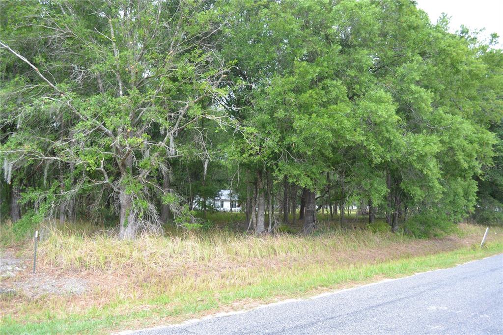 Bostick Road Bowling Green, FL 33834 - Photo 2 of 7 a view of a lake view