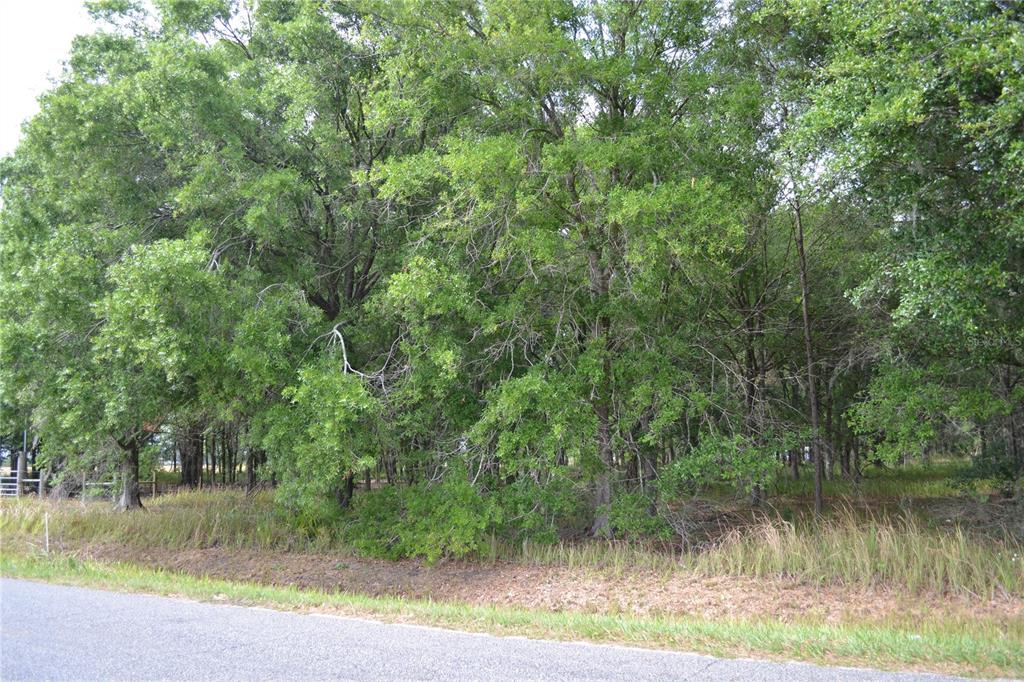 Bostick Road Bowling Green, FL 33834 - Photo 3 of 7 a view of a lake view with a lake view