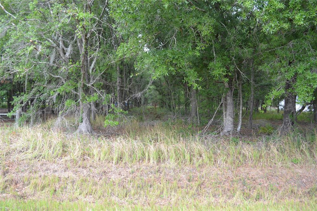 Bostick Road Bowling Green, FL 33834 - Photo 5 of 7 a view of a lake view