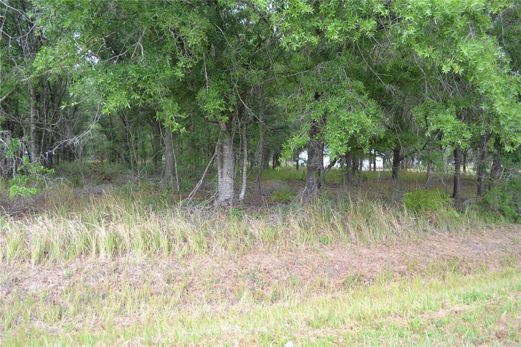 Bostick Road Bowling Green, FL 33834 - Photo 6 of 7 a view of lake with green space