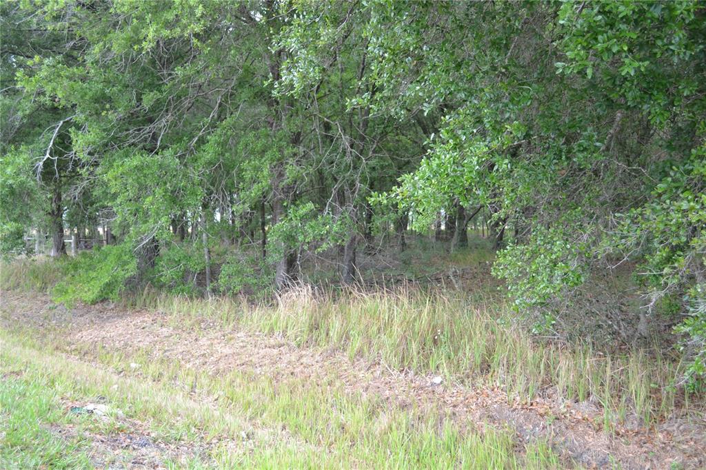 Bostick Road Bowling Green, FL 33834 - Photo 7 of 7 a view of a lake view