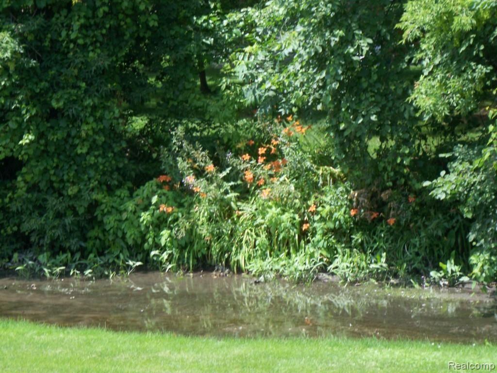 33580 Utica Road Fraser, MI 48026 - Photo 42 of 44 100_7498.jpg