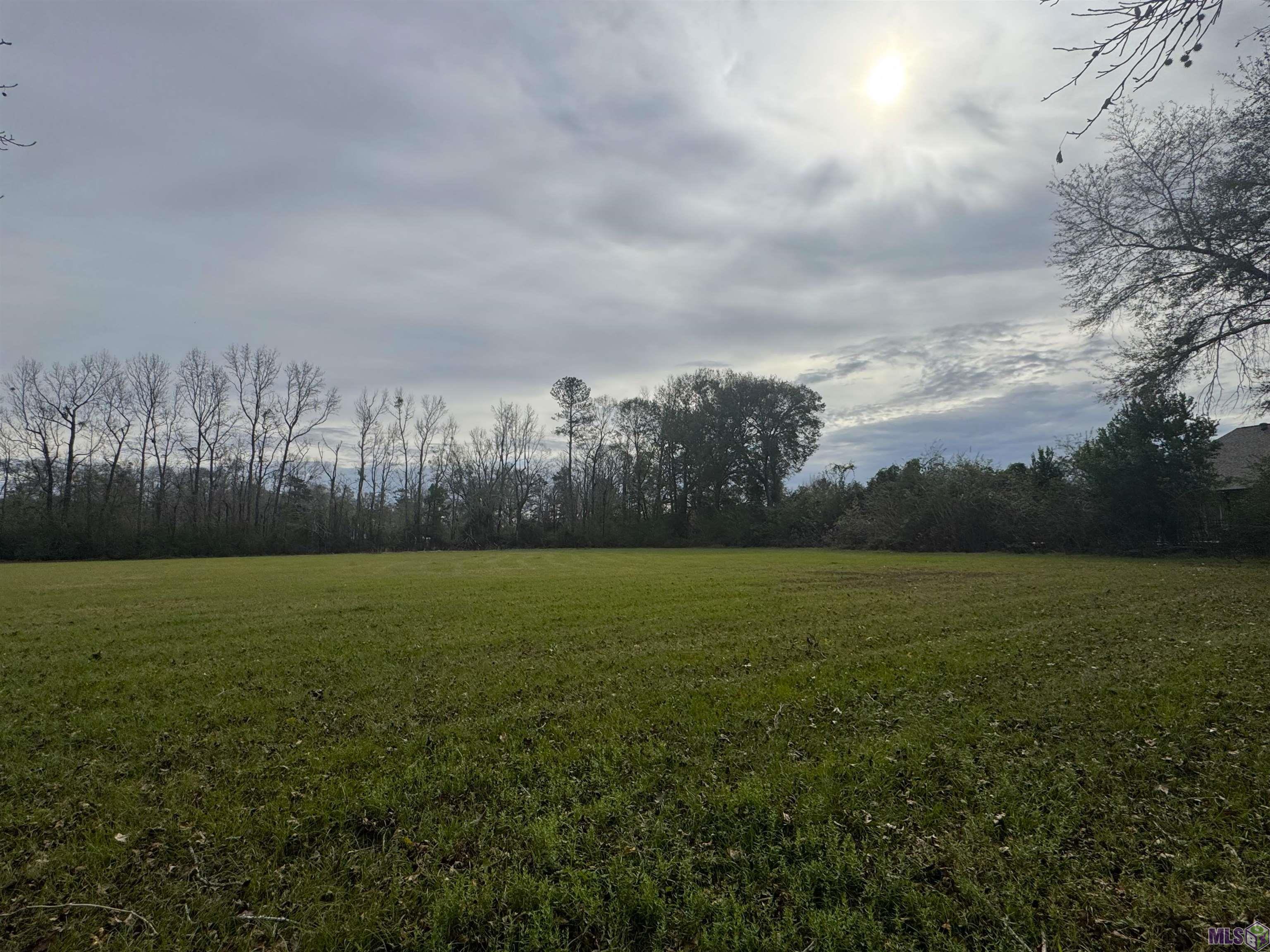 Lm-2-a-1-d Ruby Moore Road Denham Springs, LA 70706 - Photo 2 of 5