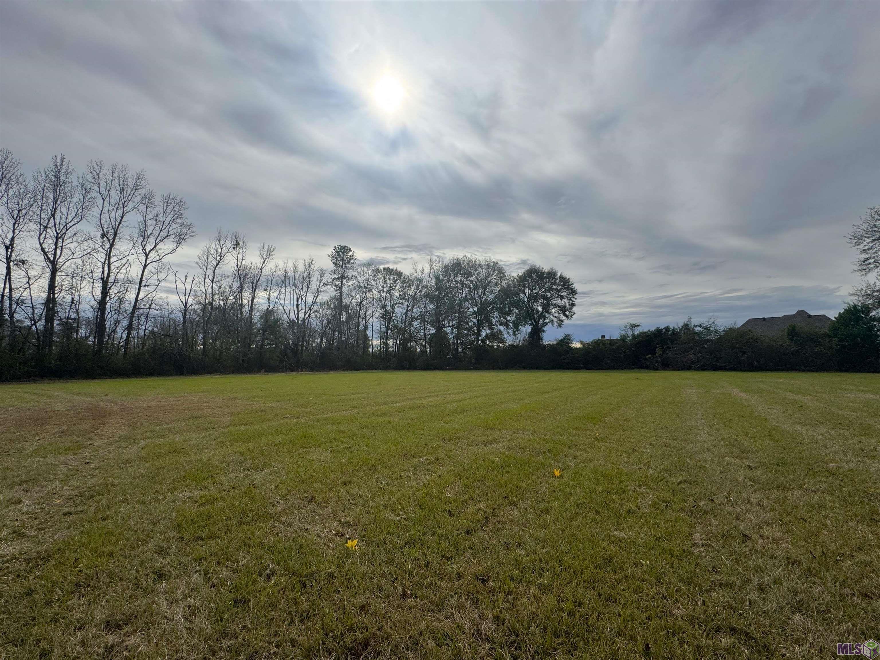 Lm-2-a-1-d Ruby Moore Road Denham Springs, LA 70706 - Photo 3 of 5