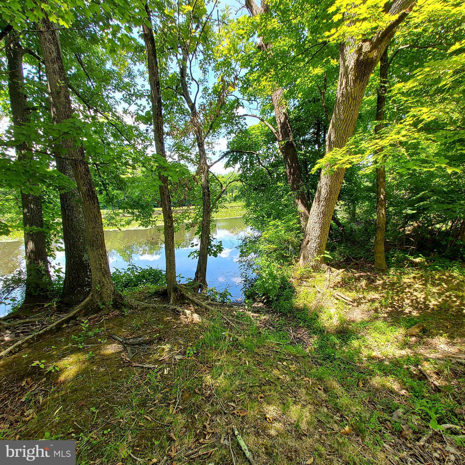 2378 Three Mile Run Road Perkasie, PA 18944 - Photo 50 of 54 Yes, 2 Canoes are Included