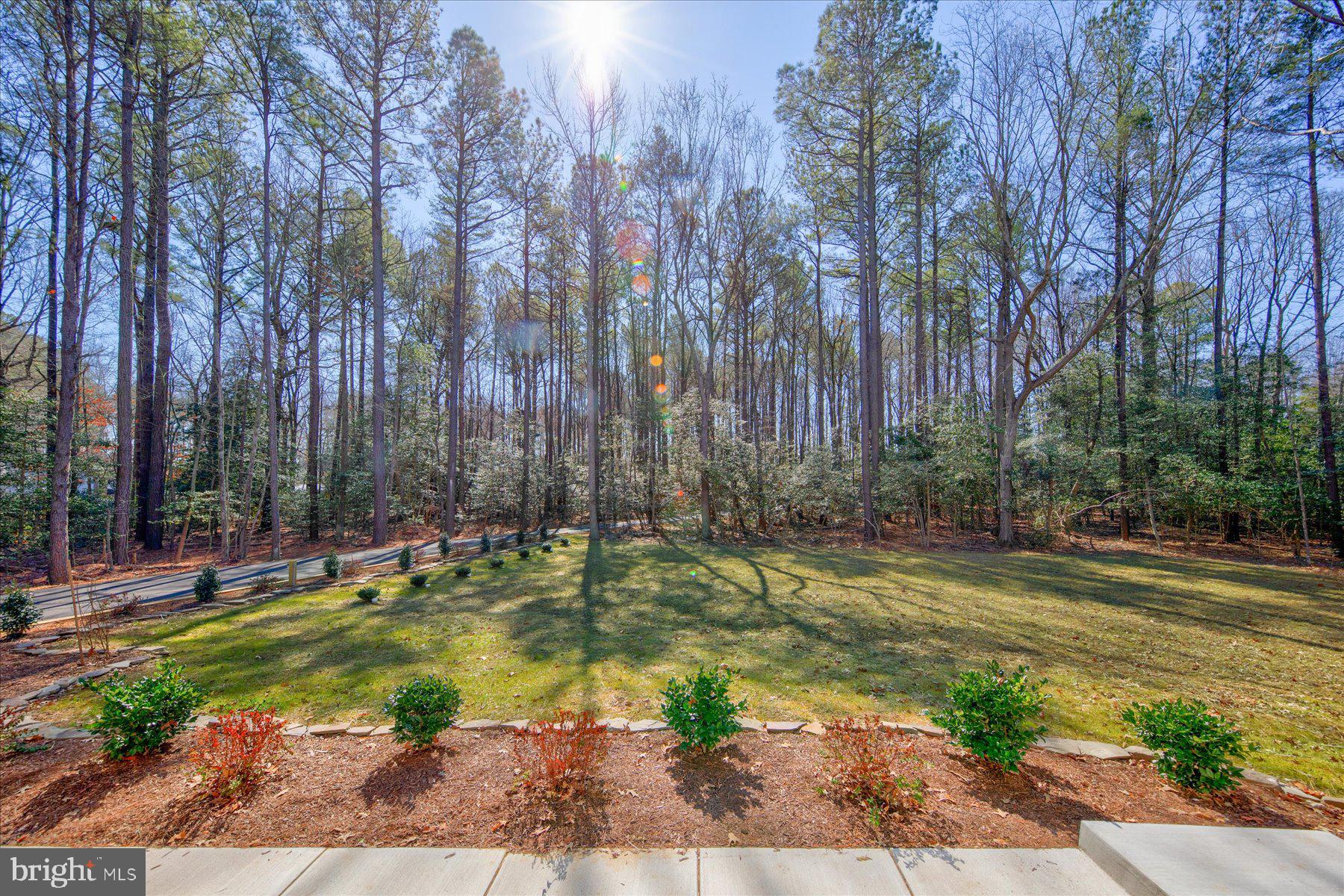 30425 Hollymount Road Harbeson, DE 19951 - Photo 7 of 98 Private view from front porch