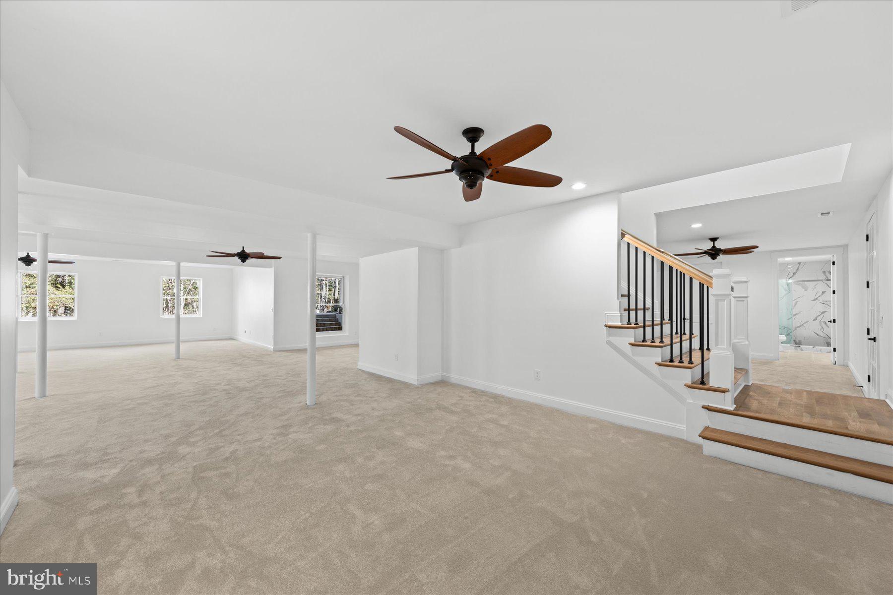 30425 Hollymount Road Harbeson, DE 19951 - Photo 76 of 98 Lower level