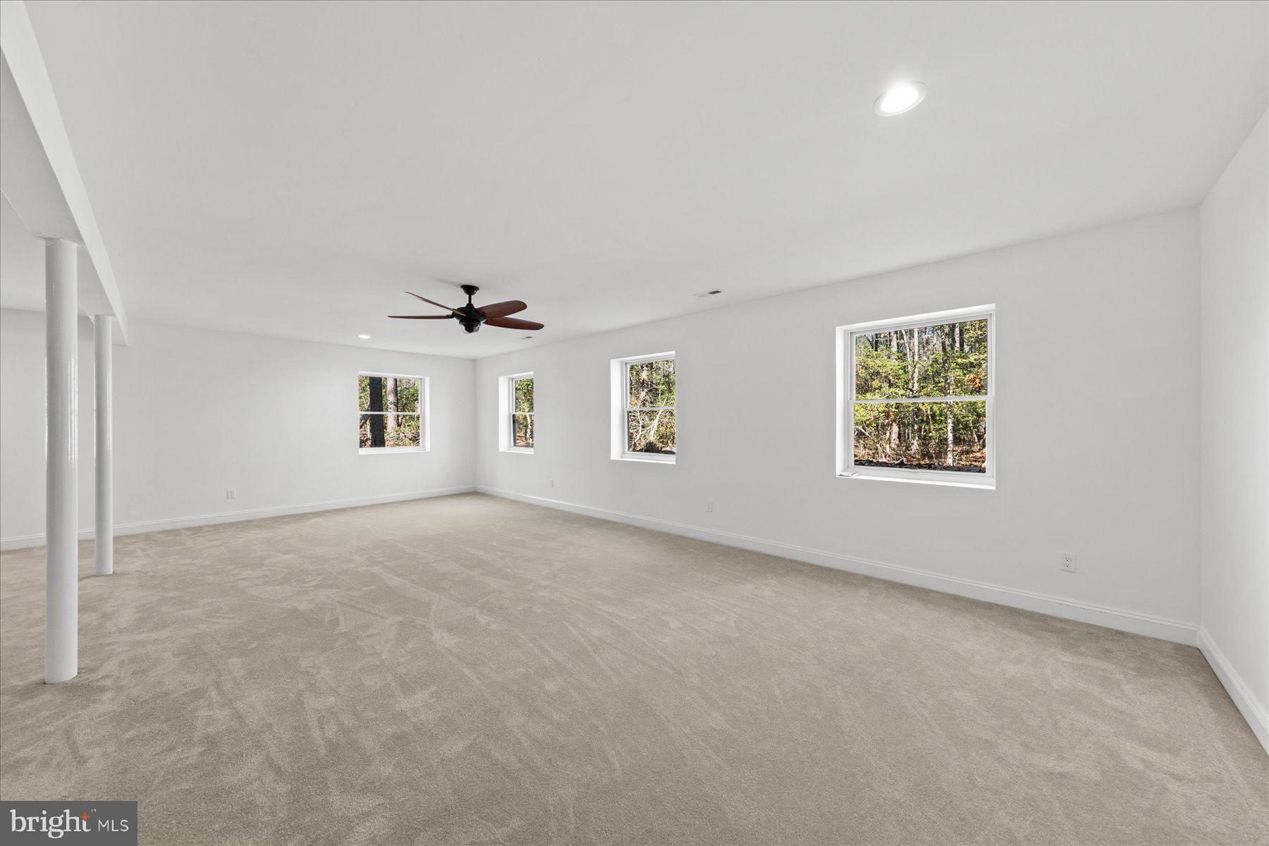 30425 Hollymount Road Harbeson, DE 19951 - Photo 79 of 98 an empty room with windows and ceiling fan