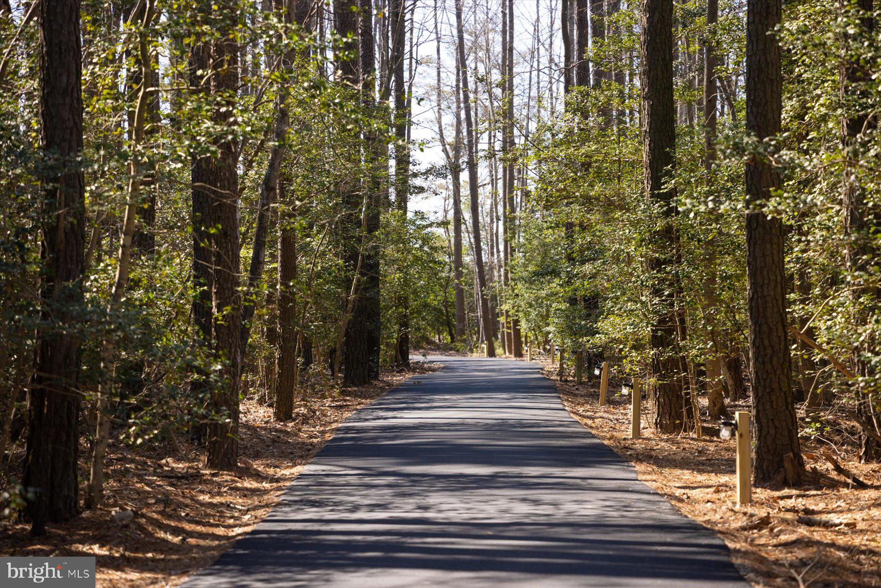 30425 Hollymount Road Harbeson, DE 19951 - Photo 98 of 98 Private treelined driveway