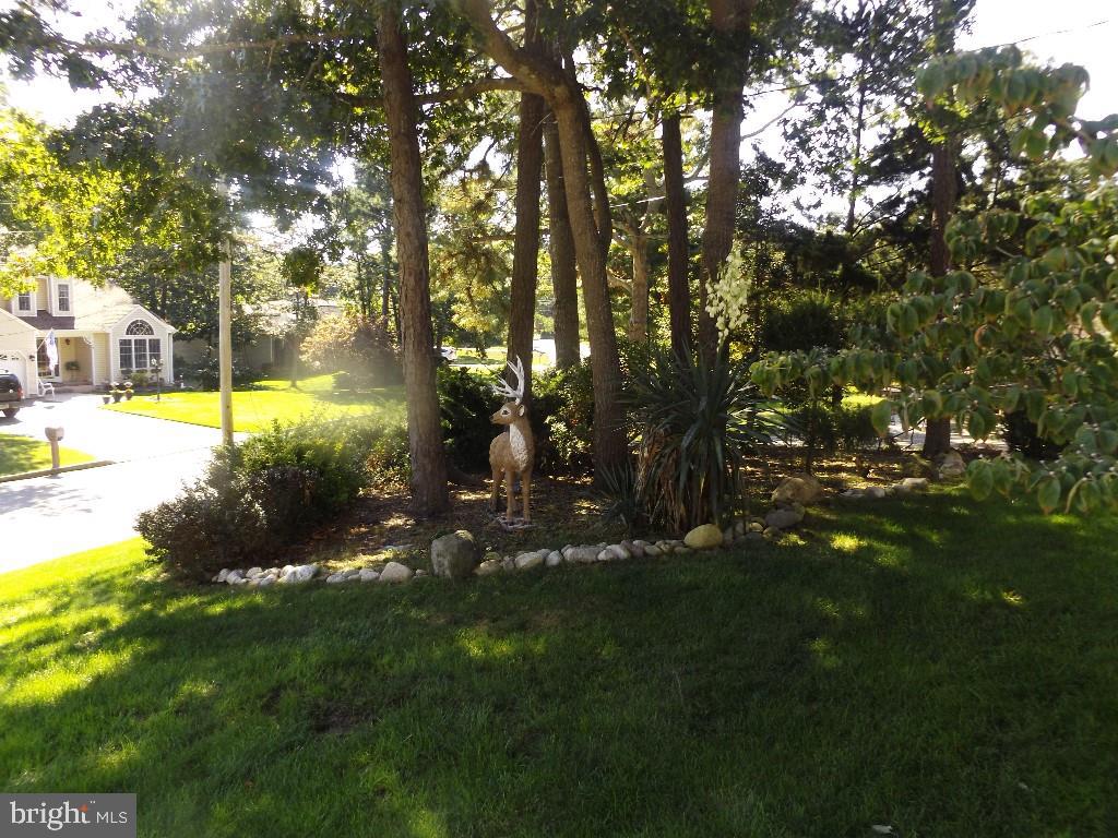 120 Toggle Road Manahawkin, NJ 08050 - Photo 31 of 35