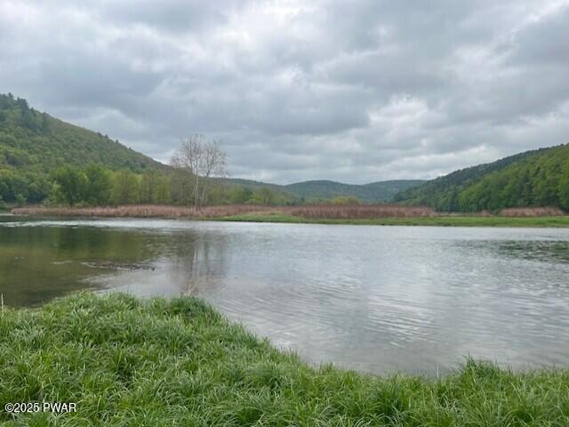 Lot 1 Warren Road Hancock, NY 13783 - Photo 11 of 29