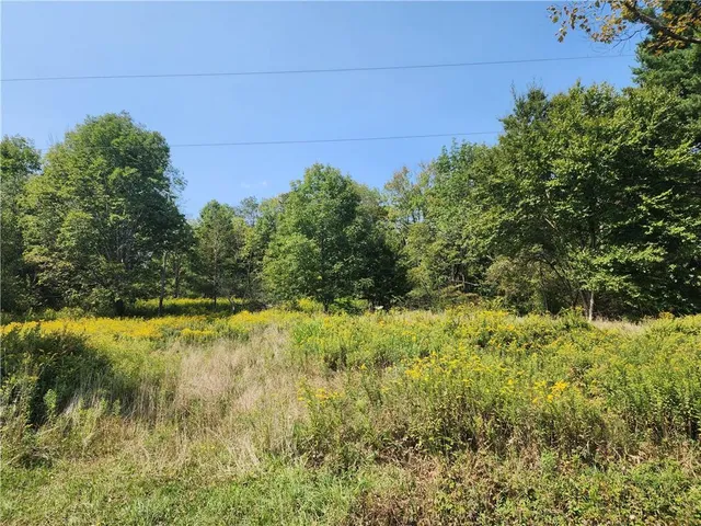 $60,000 | 231 County Road 92, Roscoe, NY 12776