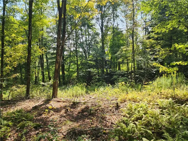 $60,000 | 231 County Road 92, Roscoe, NY 12776