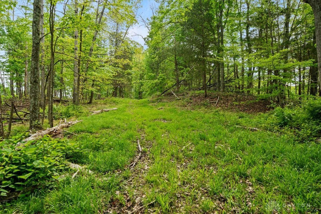 1393 Dutch Thomas Road Peebles, OH 45660 - Photo 46 of 51