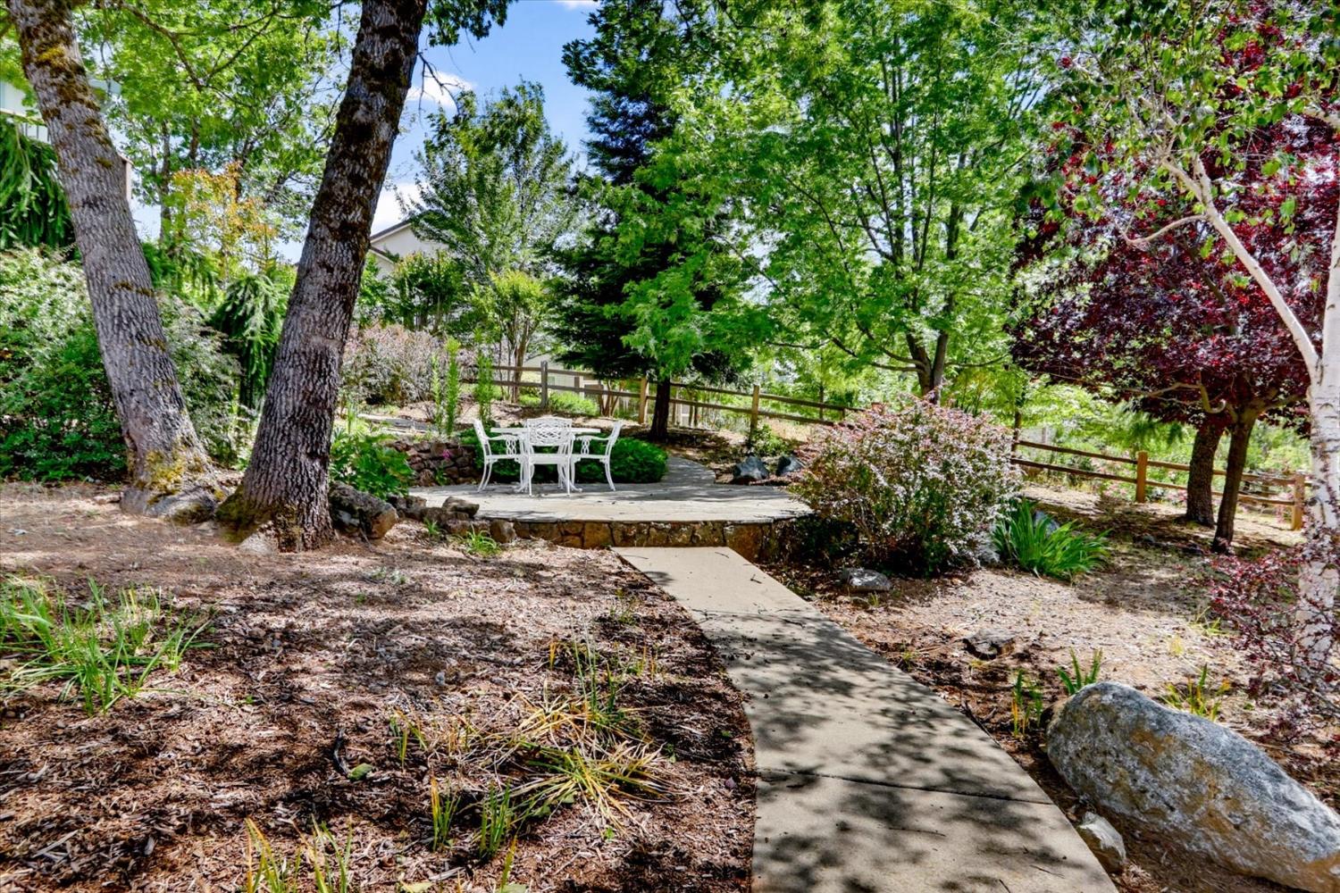 970 Morgan Ranch Drive Grass Valley, CA 95945 - Photo 56 of 76 a view of backyard with large trees and plants