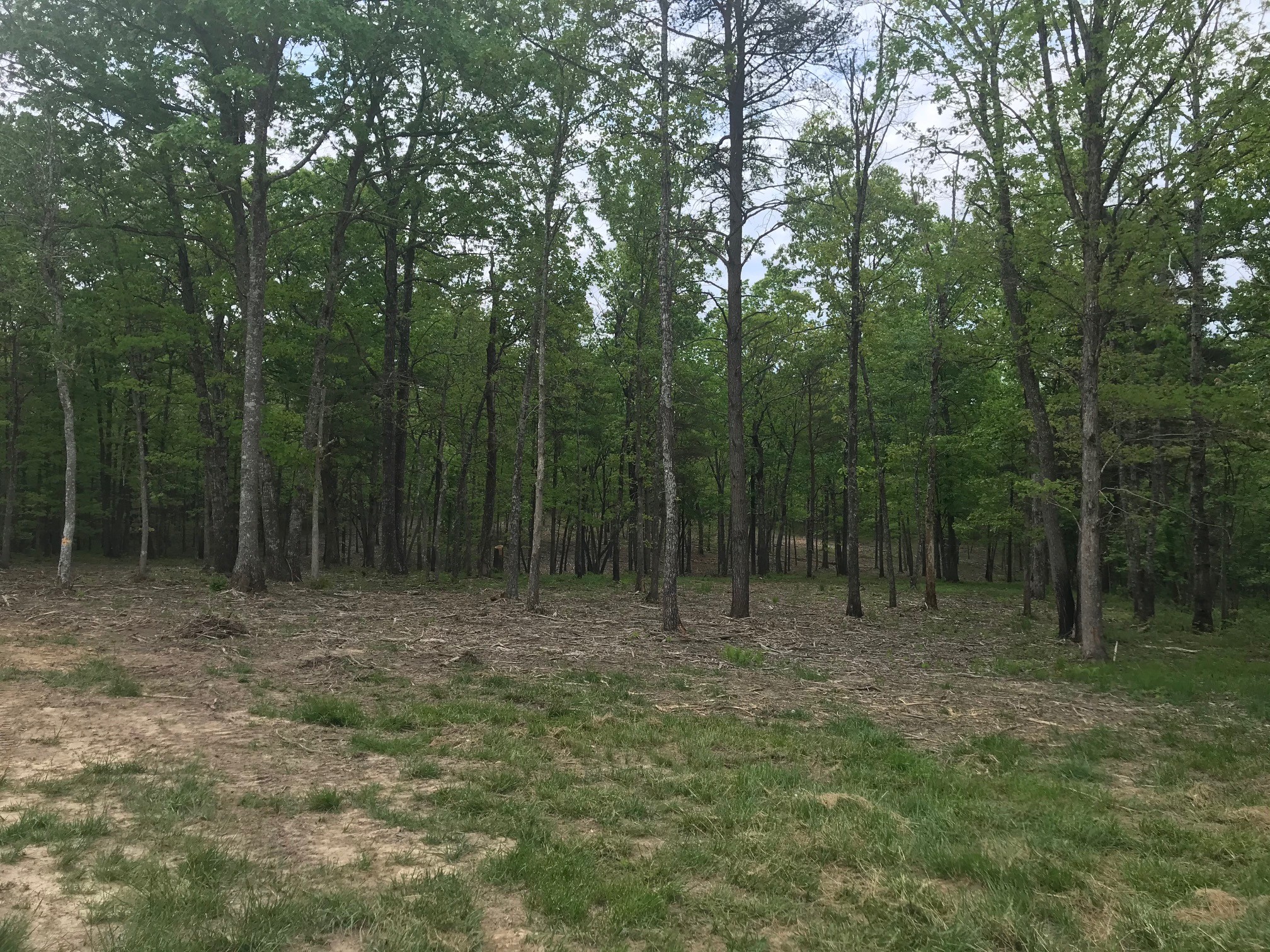1706 Long Branch Road Spencer, TN 38585 - Photo 24 of 24 Gallery Image 24