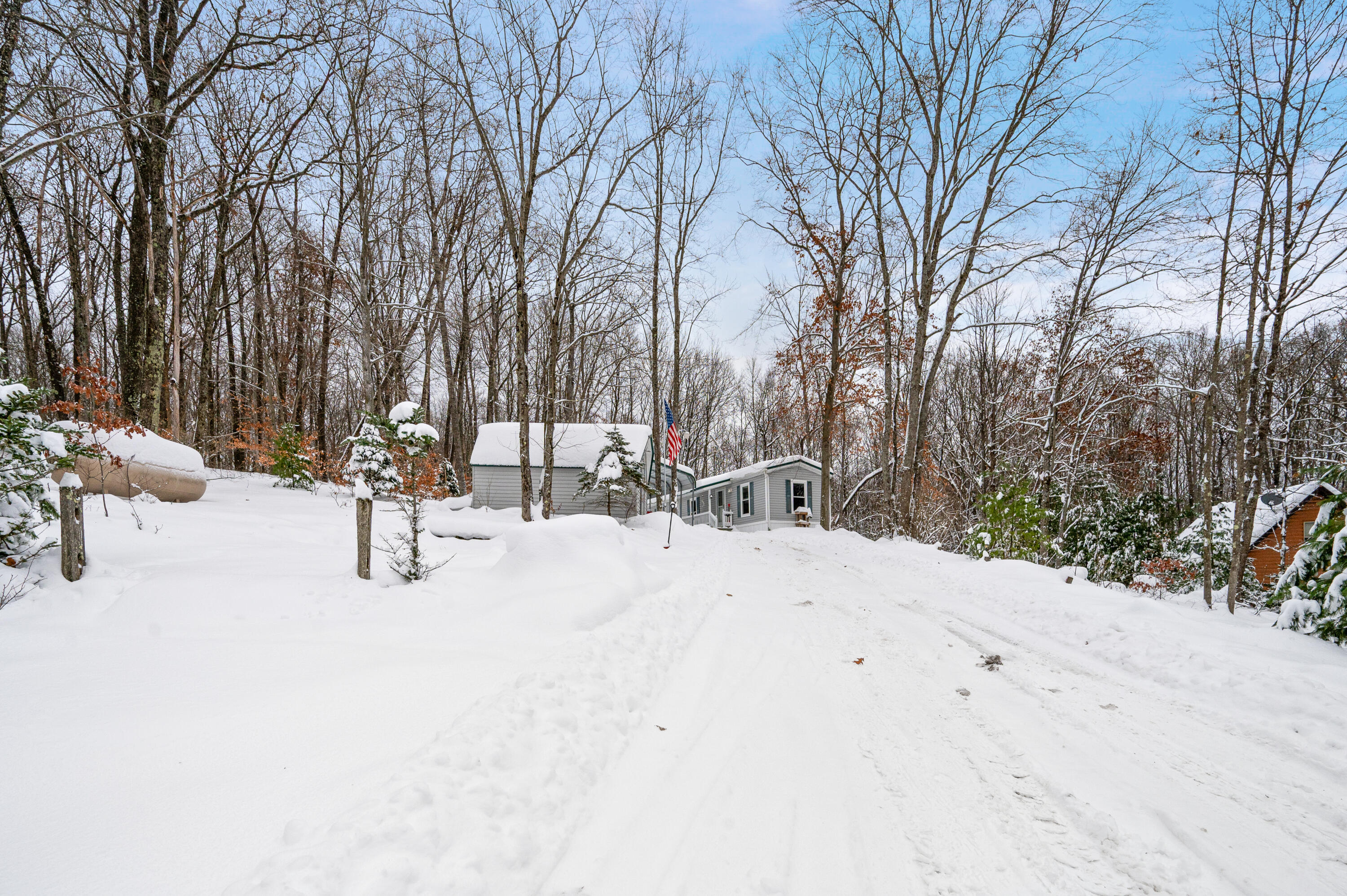 10370 Schwyz Drive Reed City, MI 49677 - Photo 5 of 25 10370-SchwyrDr-ReedCity-23