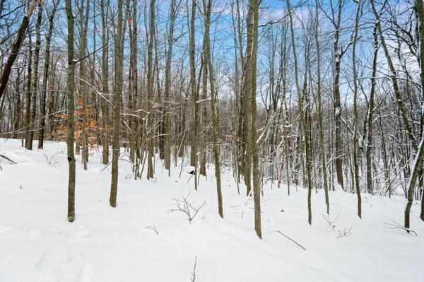 $135,000 | 10370 Schwyz Drive, Reed City, MI 49677