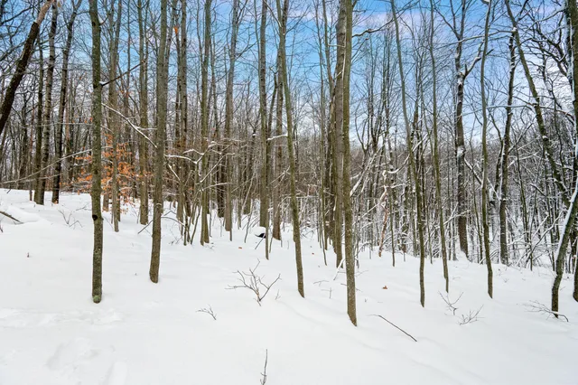 $135,000 | 10370 Schwyz Drive, Reed City, MI 49677