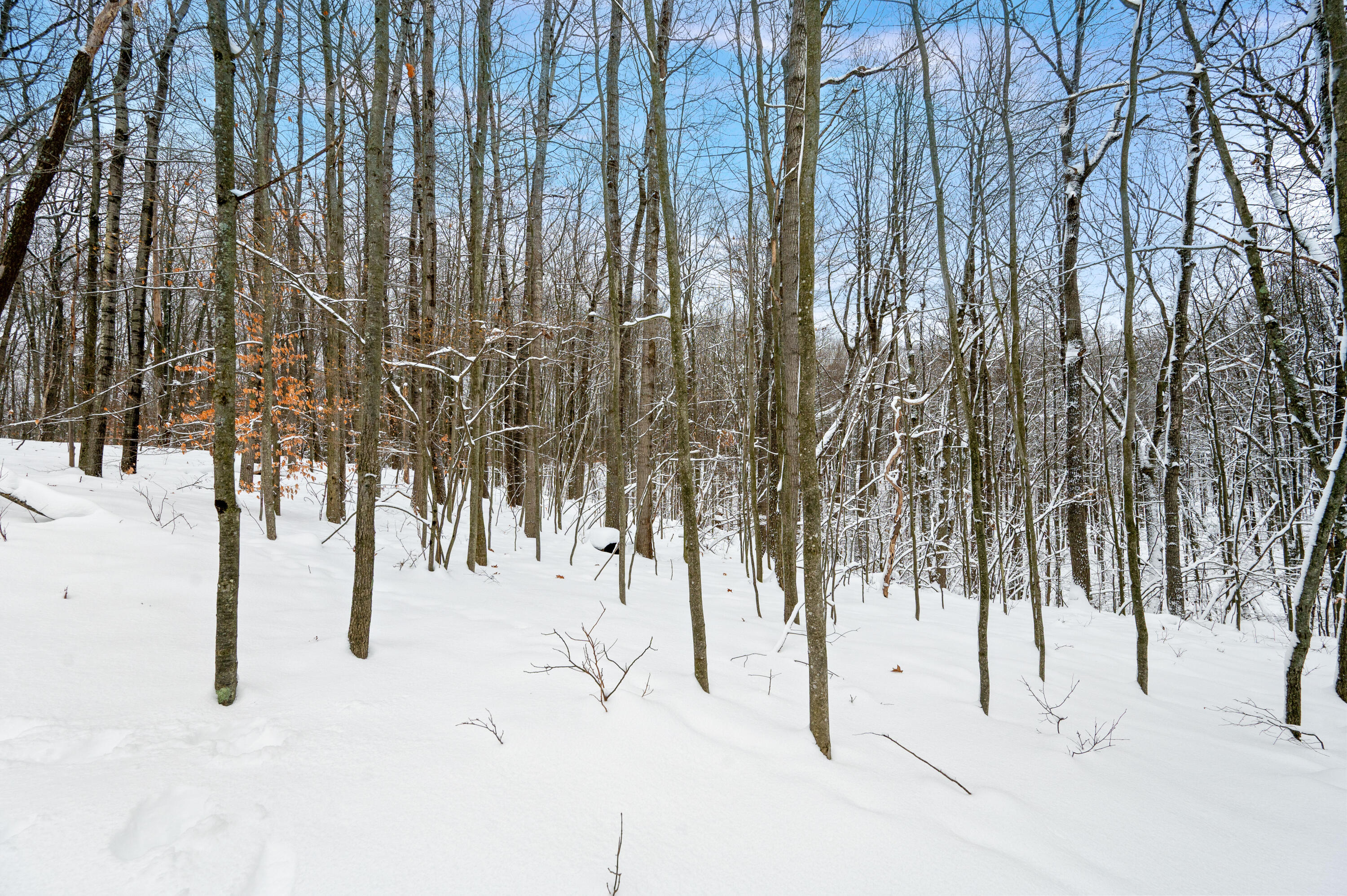 10370 Schwyz Drive Reed City, MI 49677 - Photo 9 of 25 10370-SchwyrDr-ReedCity-20