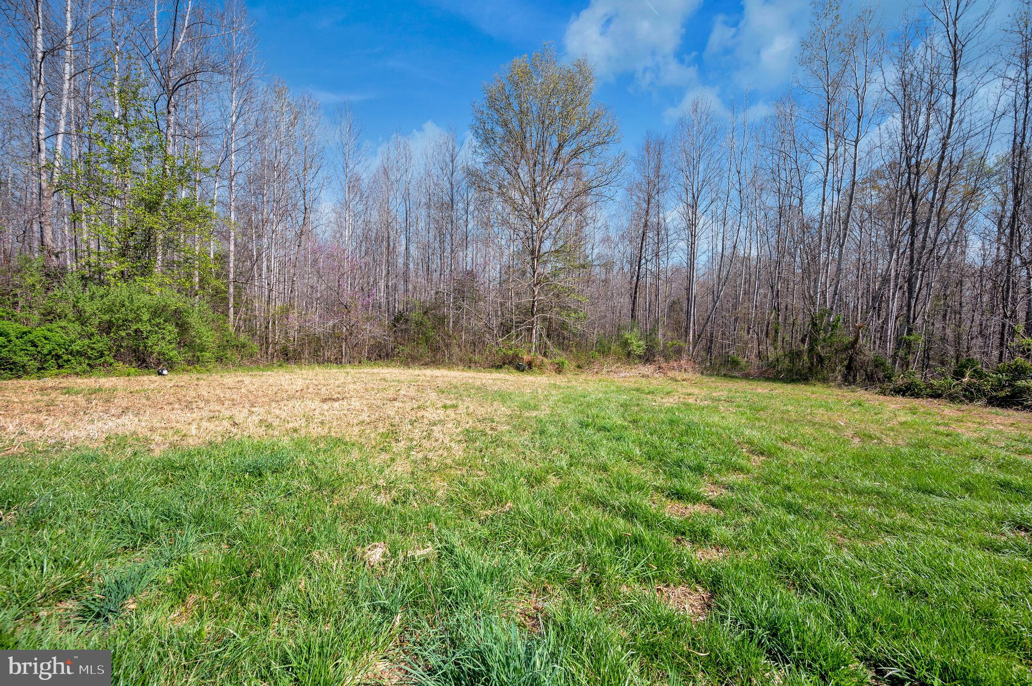 8705 Alsop Town Road Spotsylvania, VA 22551 - Photo 6 of 33 a view of a yard with large trees