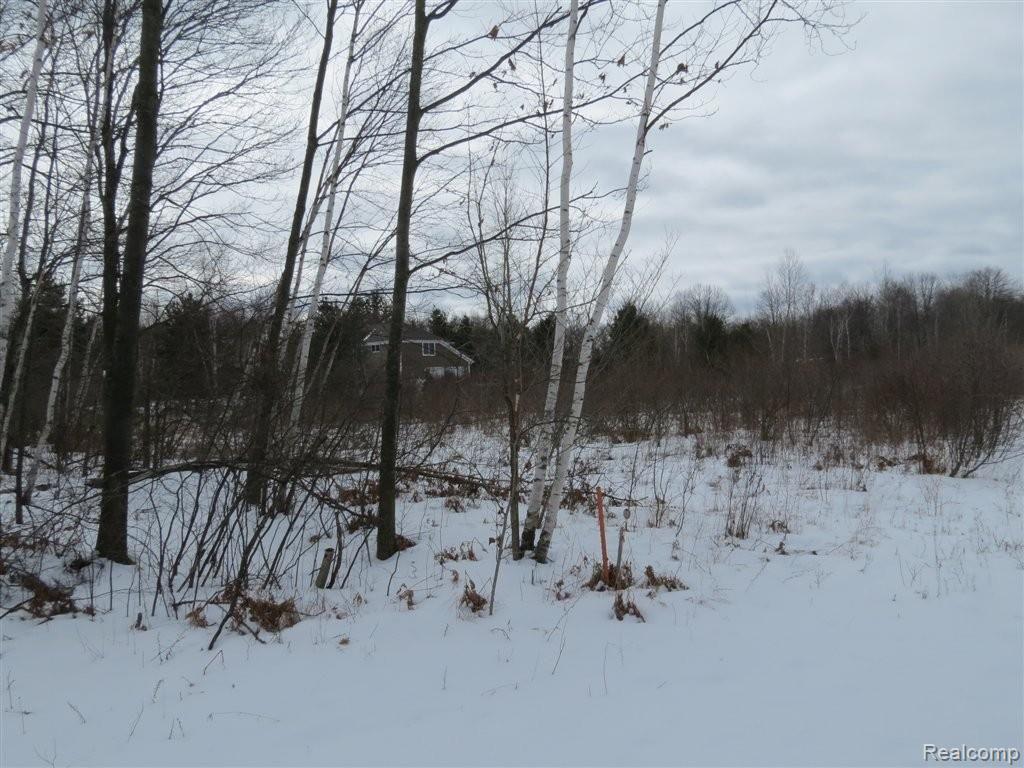 0 North Jefferson Road Midland, MI 48642 - Photo 8 of 13