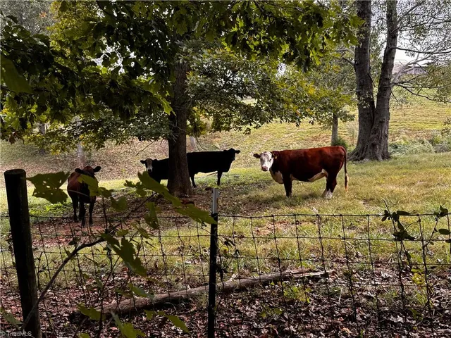 $208,000 | 181 Fox Walk Lane, Pilot Mountain, NC 27041