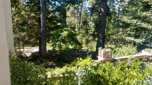 a view of a garden with plants