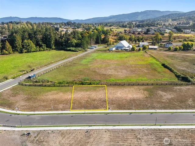 a view of a swimming pool with a yard and large tree