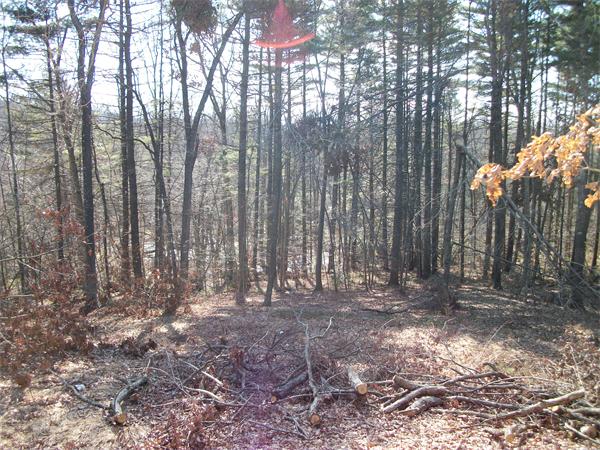 95 Martin Farms Road Hampden, MA 01036 - Photo 9 of 15