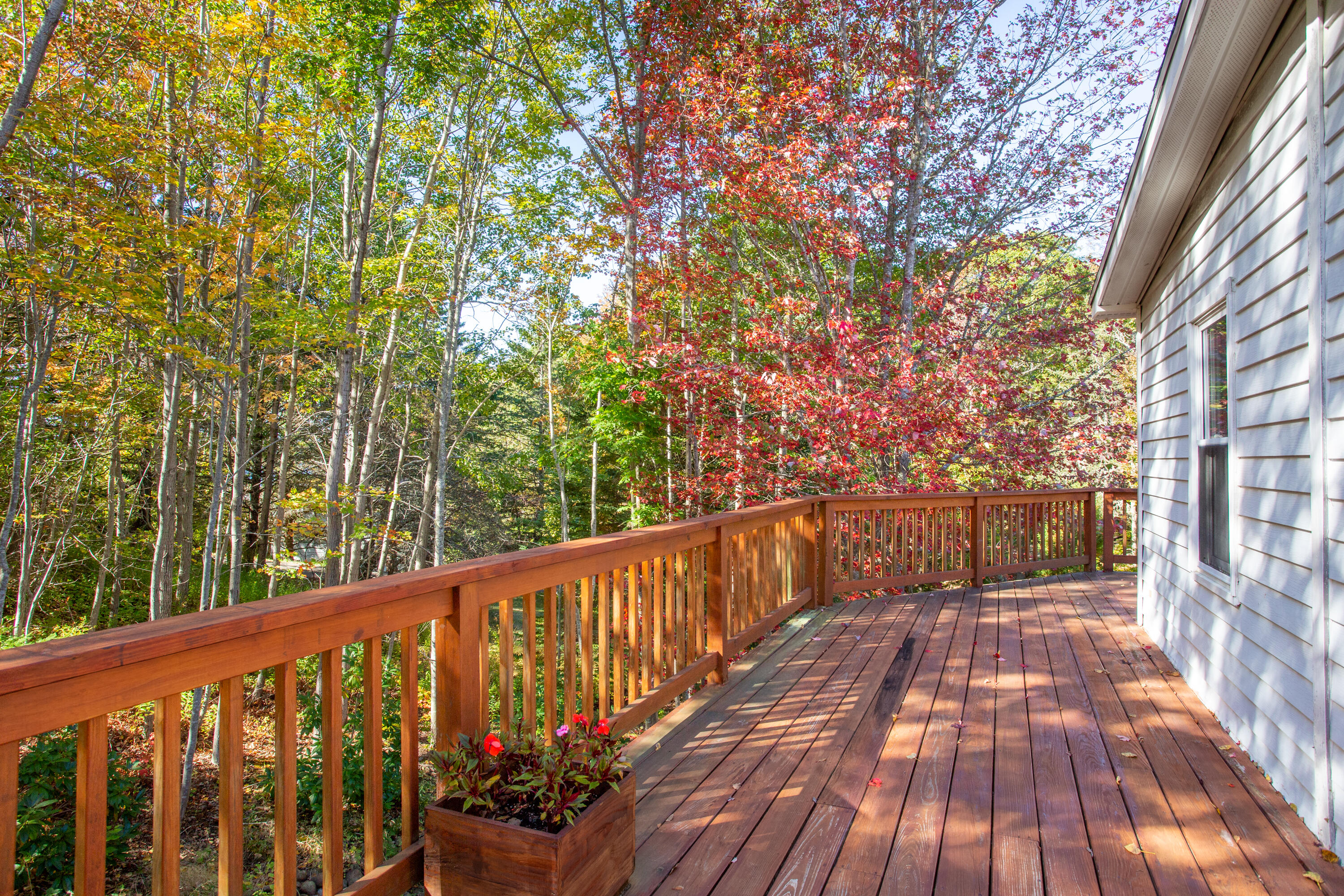 401 Ocean Point Road East Boothbay, ME 04544 - Photo 23 of 26 09-401OceanPointRd-EastBoothbay-KS