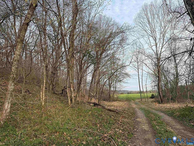 0 Paynes Pond Road Scottsville, VA 24590 - Photo 8 of 44
