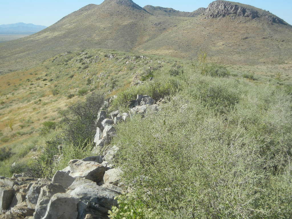 East Indian Ridge Road Pearce, AZ 85625 - Photo 17 of 24