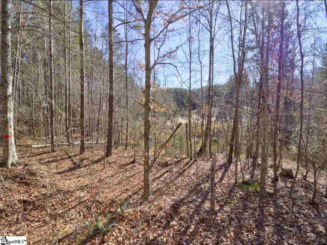414 Crawford Road Gray Court, SC 29645 - Photo 12 of 18