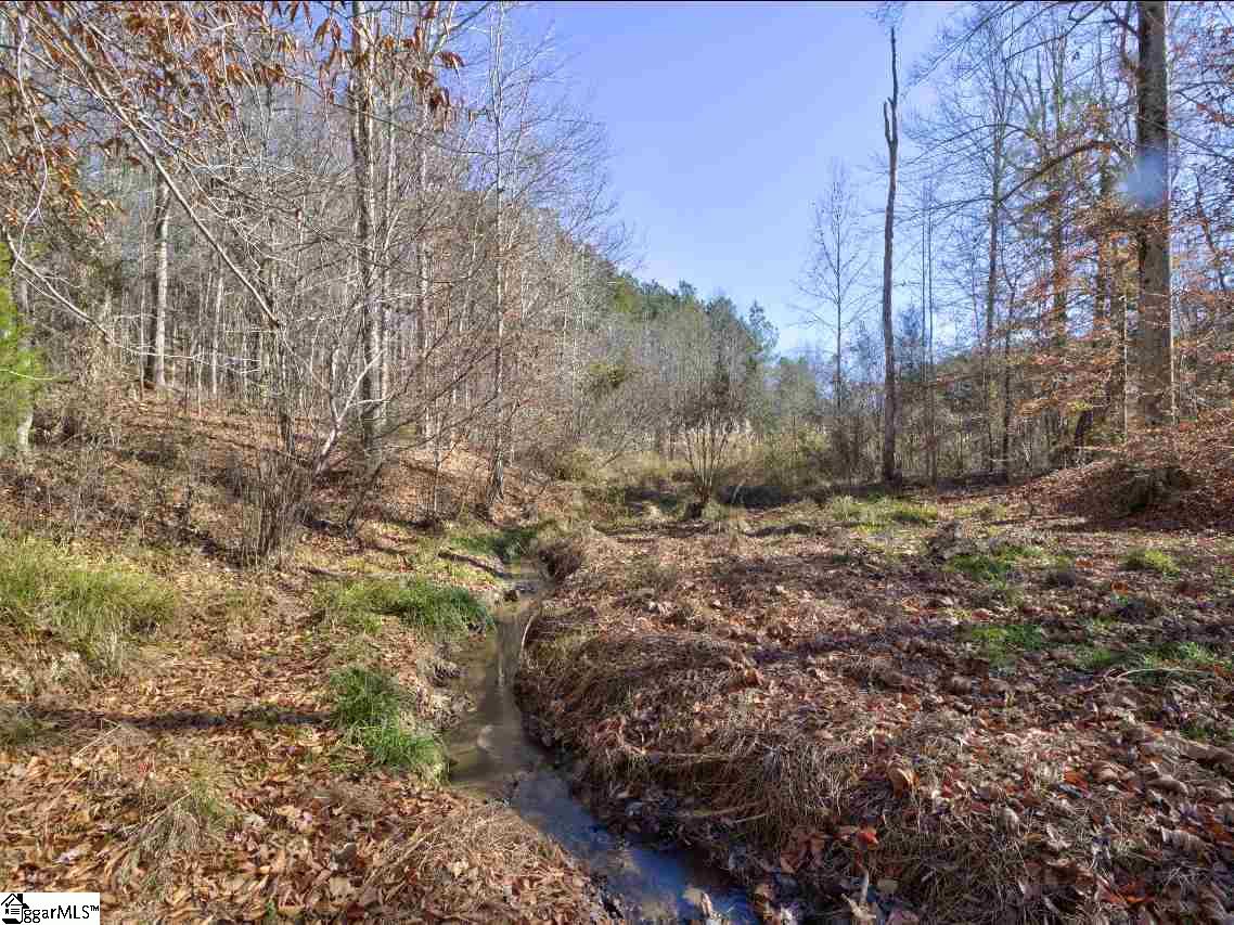 414 Crawford Road Gray Court, SC 29645 - Photo 13 of 18