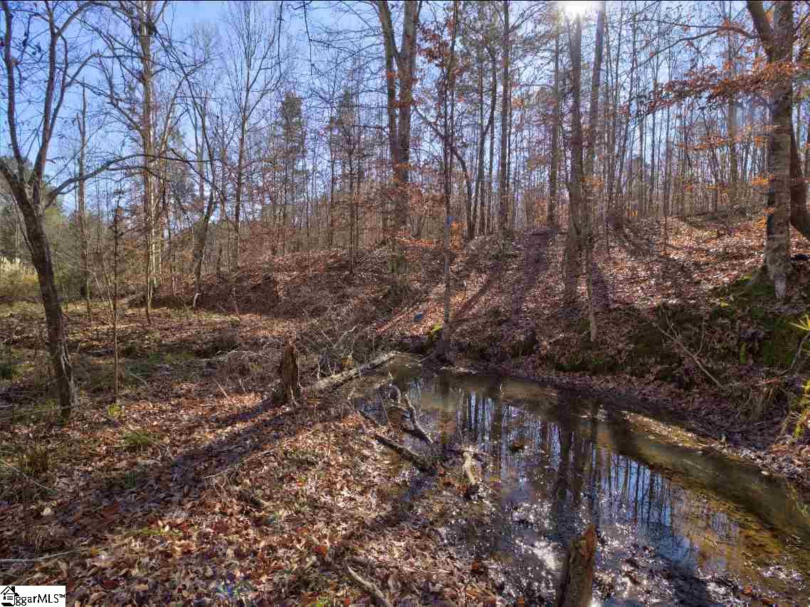 414 Crawford Road Gray Court, SC 29645 - Photo 14 of 18