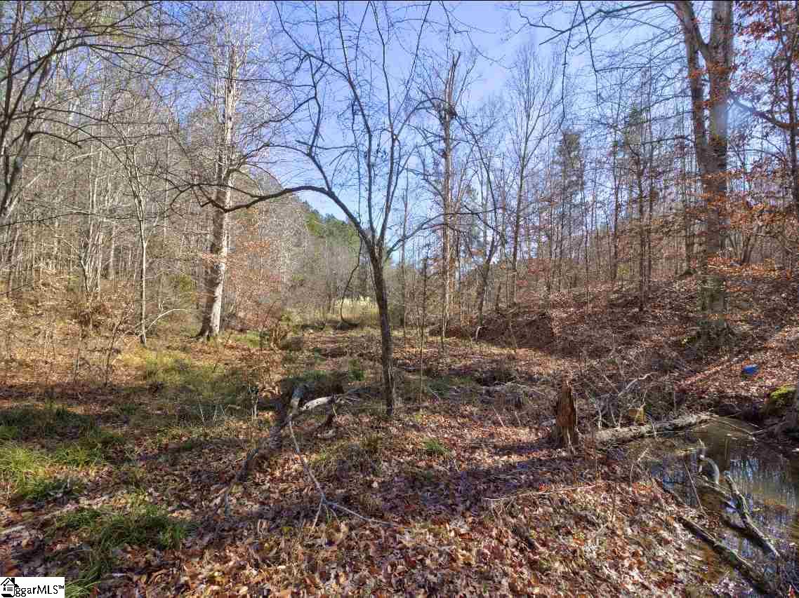 414 Crawford Road Gray Court, SC 29645 - Photo 15 of 18